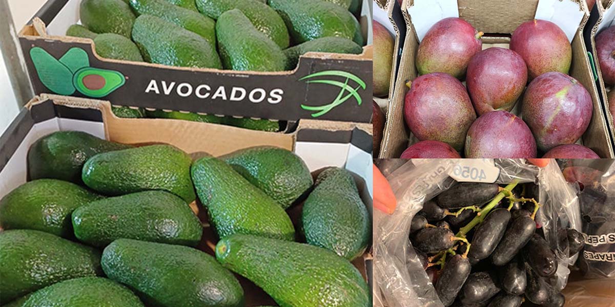 Il Natale fa aumentare la voglia di esotico: bene mango e avocado 